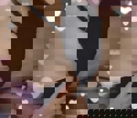 待ってます(*>ω<*)