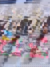 大人の遊園痴「スピーディー」 宮崎市デリヘル ゆう（美脚でスレンダー） 写メ日記「昨日リクエスト様」