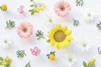 再度リクエストありがとうございます