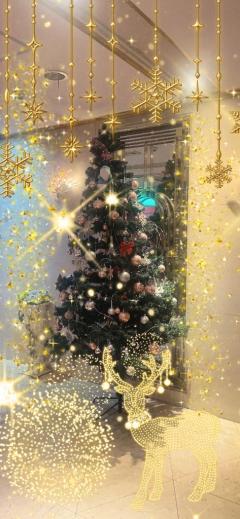 どっち派？？？