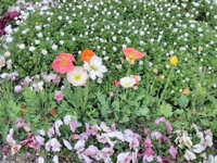 待ちナビ　てるみ