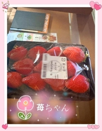 マドンナSANSAIN　さり