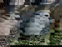 harmonyハーモニー　