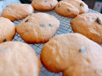 宮崎ちゃんこ都城店　くぅ