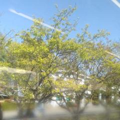 爆安＜元祖＞どすこい倶楽部　★体験さおり★宮崎店