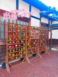 鹿児島天文館デリヘルLOVEVE～ラヴィーヴ～　りほ☆勝ち確キレカワお姉さん☆