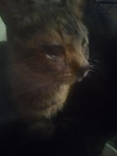 こんにちは👋😃