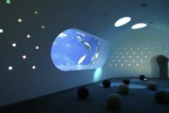 こんばんは〜🌇