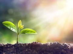 Spica(すぴか)　★かおる★電撃移籍入店決定！