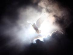 Spica(すぴか)　★かおる★電撃移籍入店決定！