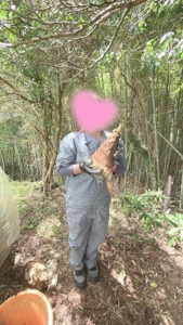 こん子だけは、特別