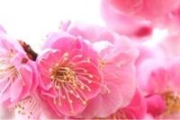 待ちナビ　きょうこ