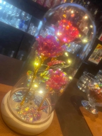 EXECUTIVE【都城本店】　るき