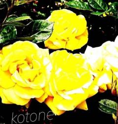 楽しみにしてます?