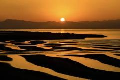 こんばんは〜🌇