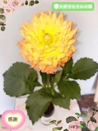 鹿児島ちゃんこ 霧島店　しずか