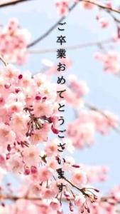 おめでとうございます