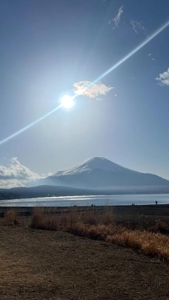 お久しぶりです！