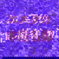 宮崎ちゃんこ中央通店　ぼたん