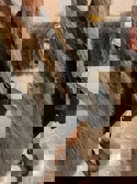 急遽になりますが((*´∀))