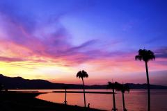 こんばんは〜🌆