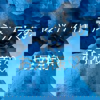 宮崎ちゃんこ中央通店　ぼたん