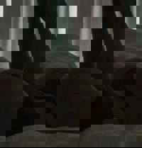 土曜日♪（≧∇≦）