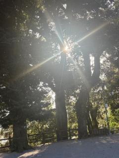 Heaven Club (ヘブンクラブ)　せな♡