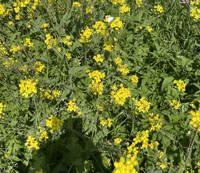 おはようございます！