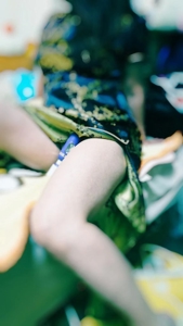 待ちナビ　るり