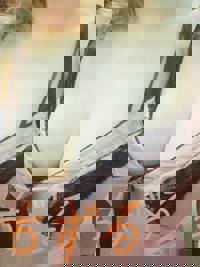 有難うございます