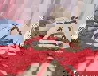 宮崎ちゃんこ中央通店 宮崎市デリヘル ぼたん 写メ日記「出勤！」