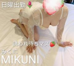 人妻ステーションポータブル　みくに