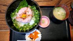 人妻ステーションポータブル　つぼみ