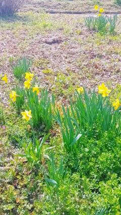 ぷにっ娘　ゆかいな電話番たち