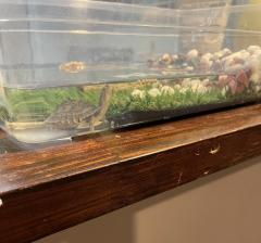 Relaxation spa with (リラクゼーションスパウィズ)　すみれ～Sumire～