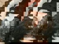 出勤しました♪