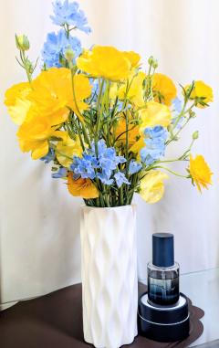 アルファ　♡くみ〜※特割コースの新エース♡