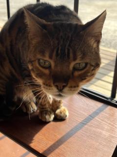 おはようございます