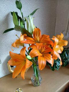 おはようございます🙂‍↕️✨