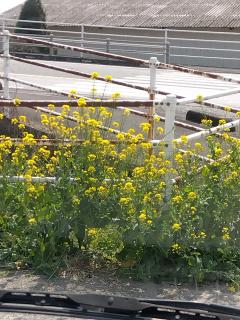 本日13時から出勤です