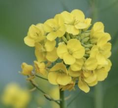 17日火曜日❣️