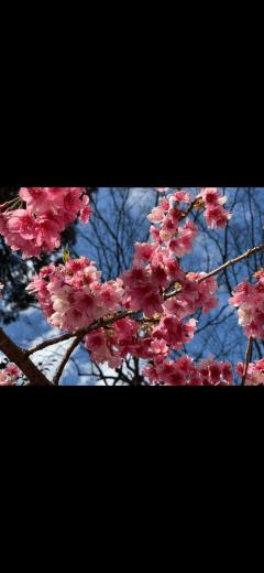 ありがと?=ーーーう🤓?