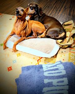 アルファ　♡くみ〜※特割コースの新エース♡