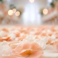 TheGrandPhoenix みなみ※おもてなし最高 お知らせ