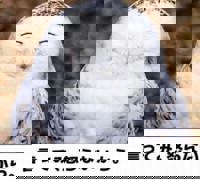 宮崎ちゃんこ中央通店　