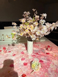 薩摩♂風俗の神様鹿児島店　あさひな