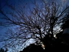 CLUB LUMINE(中津市) Haru【ハル】