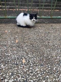 都城デリヘル ゲット24時間　あおい