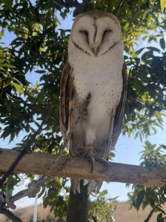 おはようございます